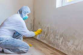 Mold Remediation for Vacation Homes in Pearson, GA